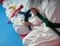 fbc-karate-kids-9-11
