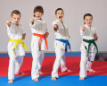 fbc-karate-kids-blogs