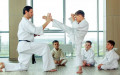 fbc-karate-learning