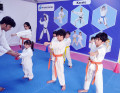 fbc-karate-lift-hand-kick