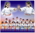 fbc-kid-karate-champion