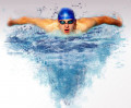 fbc-swimming-butterfly-i