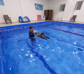 fbc-swimming-like-fish