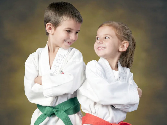 fbc-karate-boys-girls