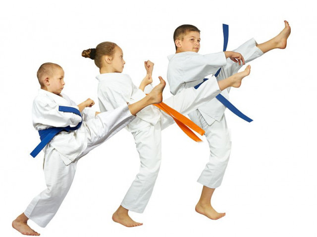 fbc-karate-geri