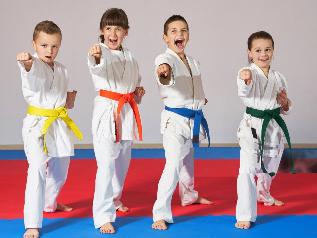 fbc-karate-kids-blogs