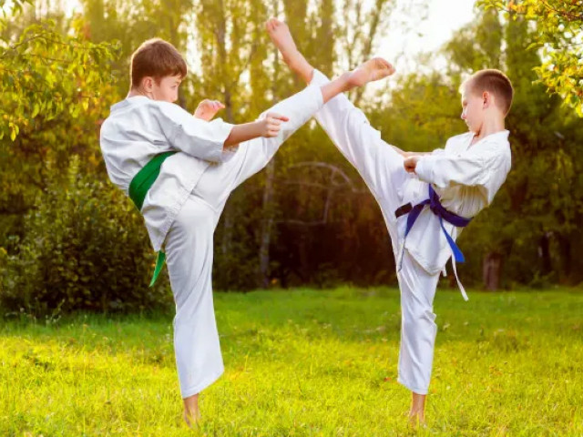 fbc-karate-step