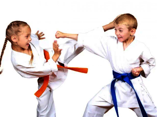 fbc-karate-tips