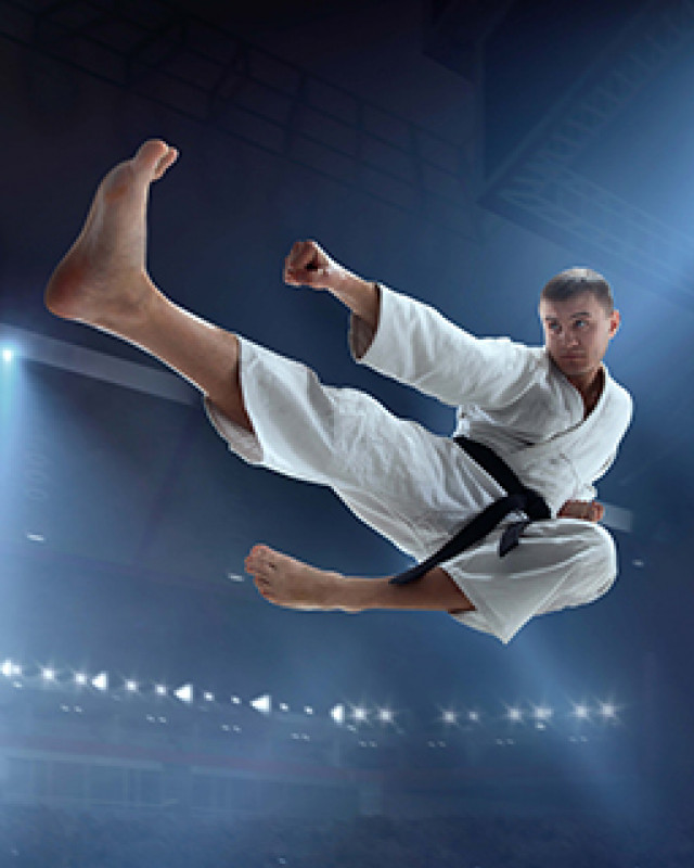 be_a_karateka_teach_yourself_the_superior_skills